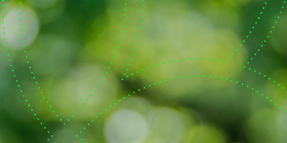 Grønn bakgrunn med prikkete linjer formet som veier