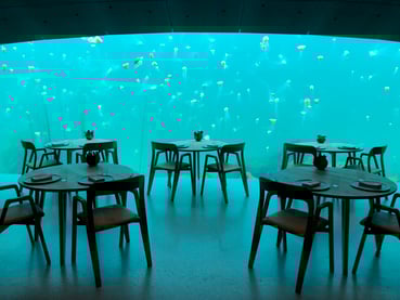 Mange maneter sett fra vinduet ut i havet i undervannsresrestauranten Under 
