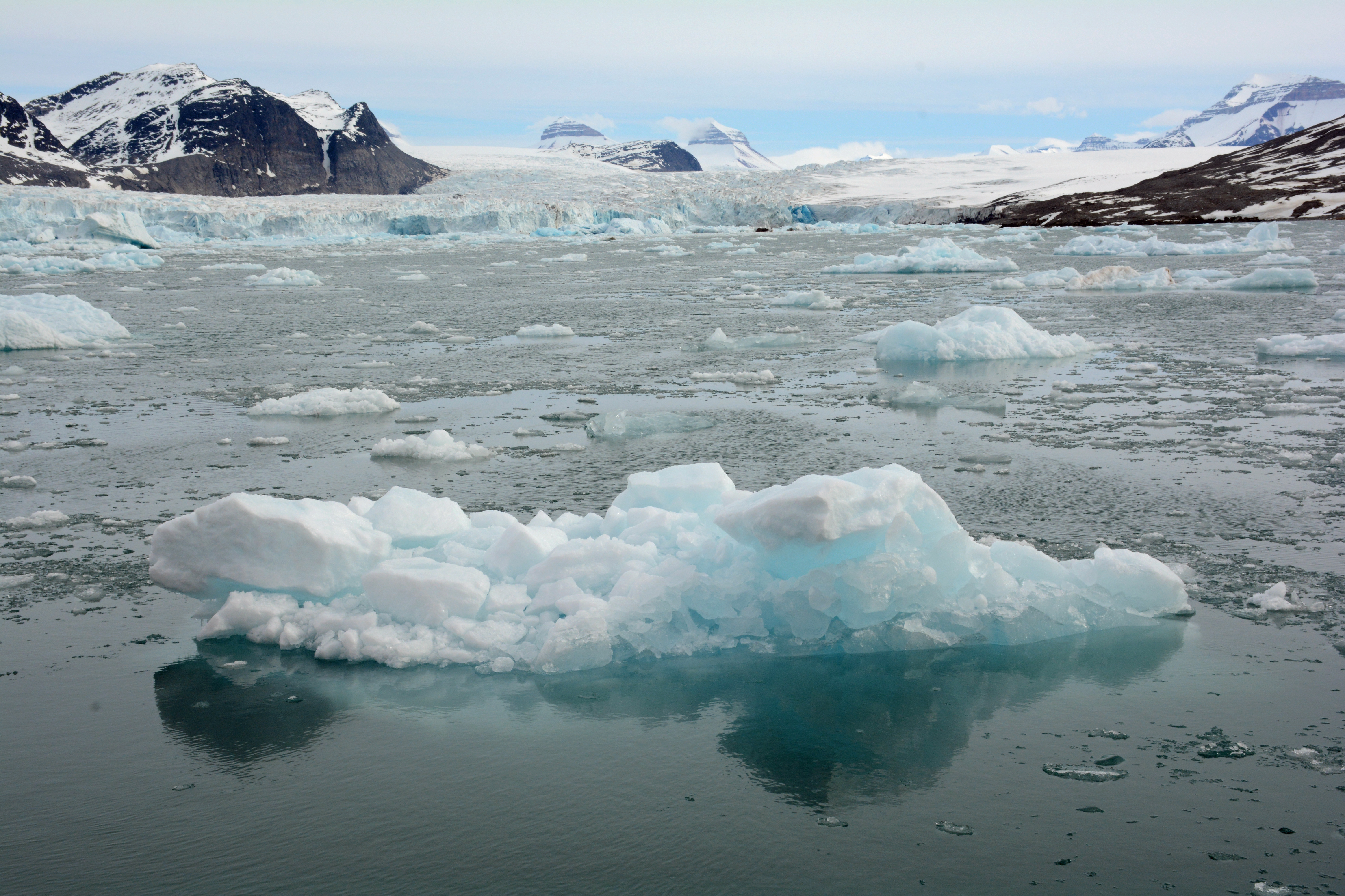 Smeltende is i sjøen foran en brefront 
